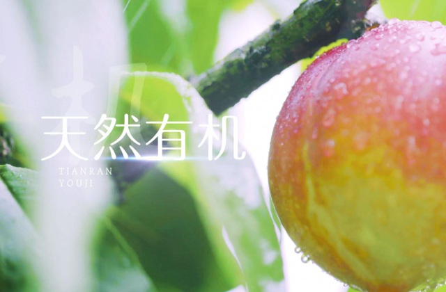 三元油桃產品宣傳片拍攝